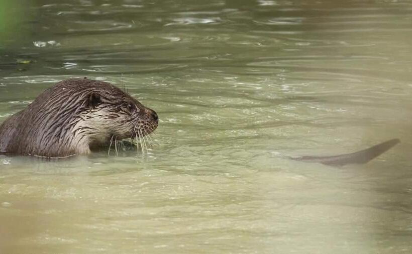 Bed and Breakfast The Millers Cottage