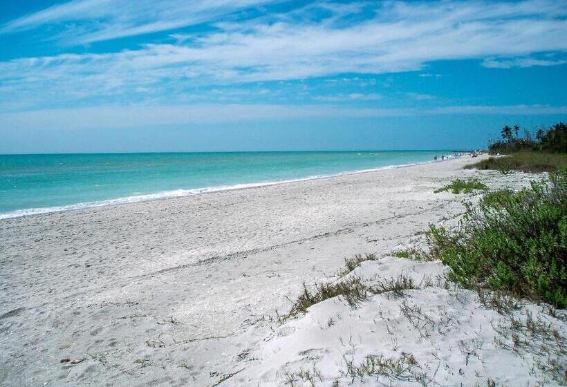 فندق على الطريق Super Budget Inn