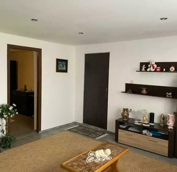 ペンション Casa Iuliana