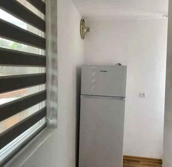 ペンション Casa Iuliana