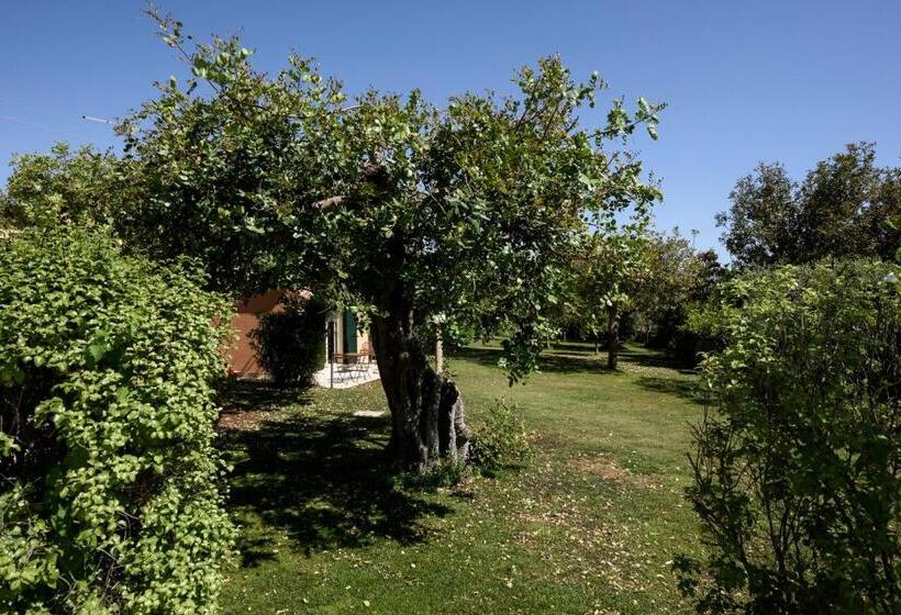 بنسيون Karrua House   Magnolia Room