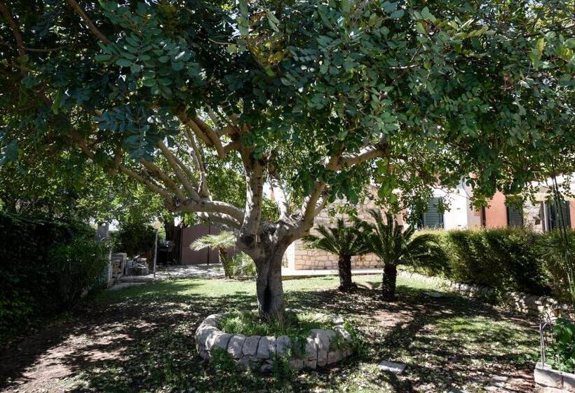 بنسيون Karrua House   Magnolia Room