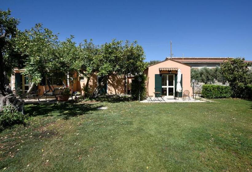 بنسيون Karrua House   Magnolia Room