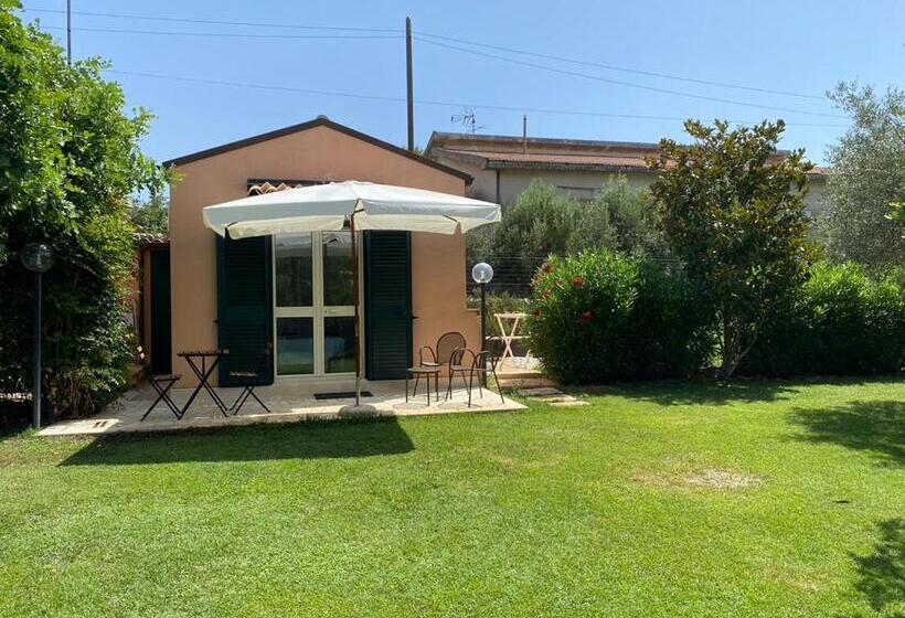 بنسيون Karrua House   Magnolia Room