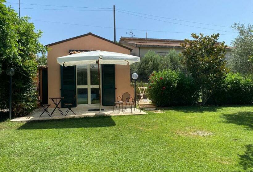 بنسيون Karrua House   Magnolia Room