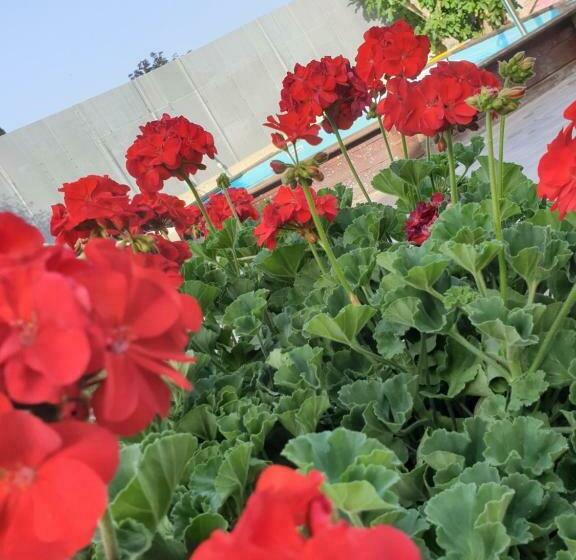 Пансион Maison D Hôtes Chez Aud