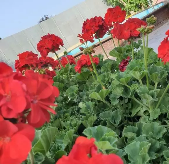 Majatalo Maison D Hôtes Chez Aud