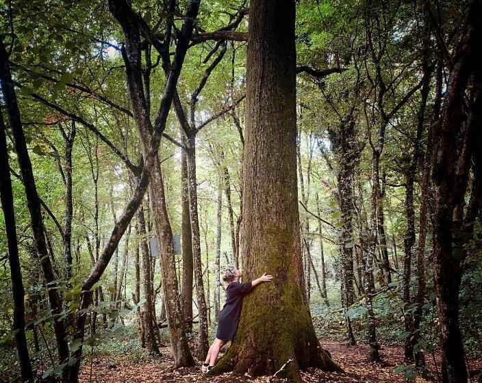 Пансион Maison D Hôtes Chez Aud