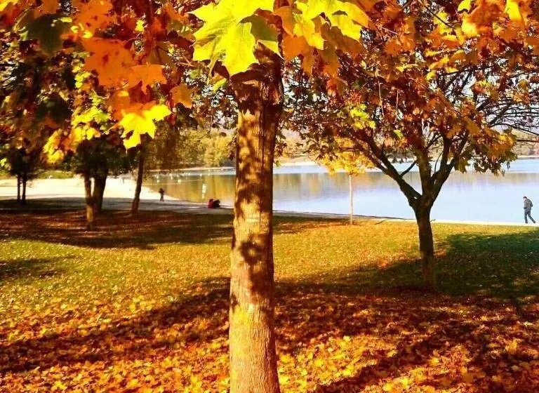 Majatalo Maison D Hôtes Chez Aud