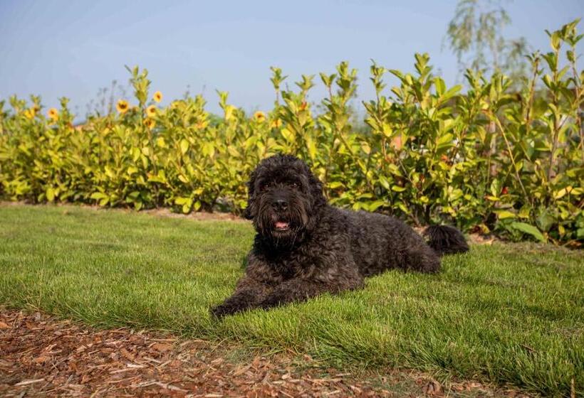 צימר Amsterdam Area Residence Oosterwold