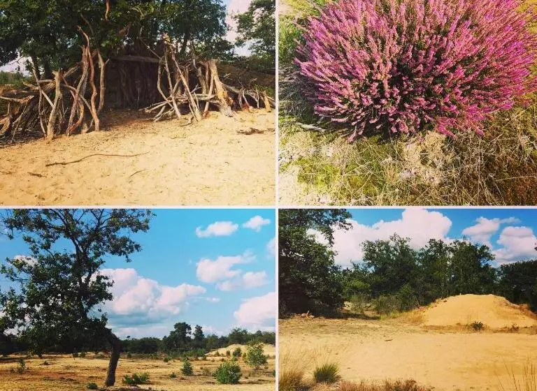 Bed And Breakfast:  Bij Ons Achter