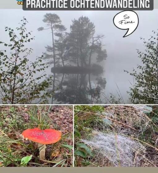 Bed And Breakfast:  Bij Ons Achter