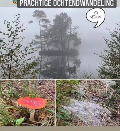 Bed And Breakfast:  Bij Ons Achter