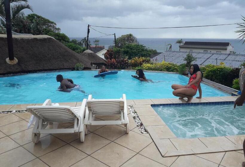 צימר Song Of The Whales