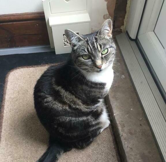 ベッドアンドブレックファースト St.catherine`s Cottage, The Old School House