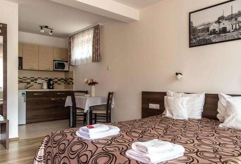 Casa Tofi Vendégház