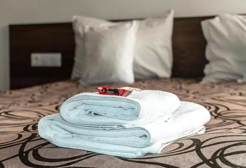 Casa Tofi Vendégház