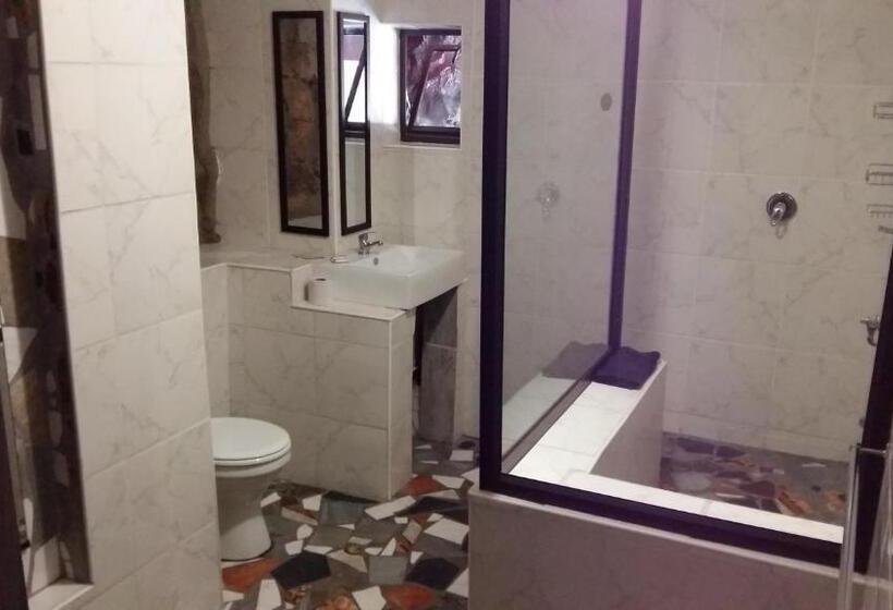 Pension (Hôtel basse catégorie) Arek S Place