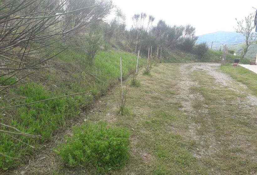 פנסיון La Casa Delle Stelle Appartamento