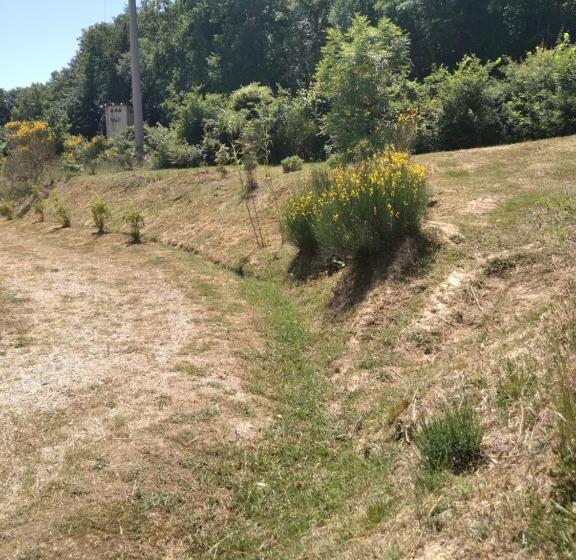 פנסיון La Casa Delle Stelle Appartamento