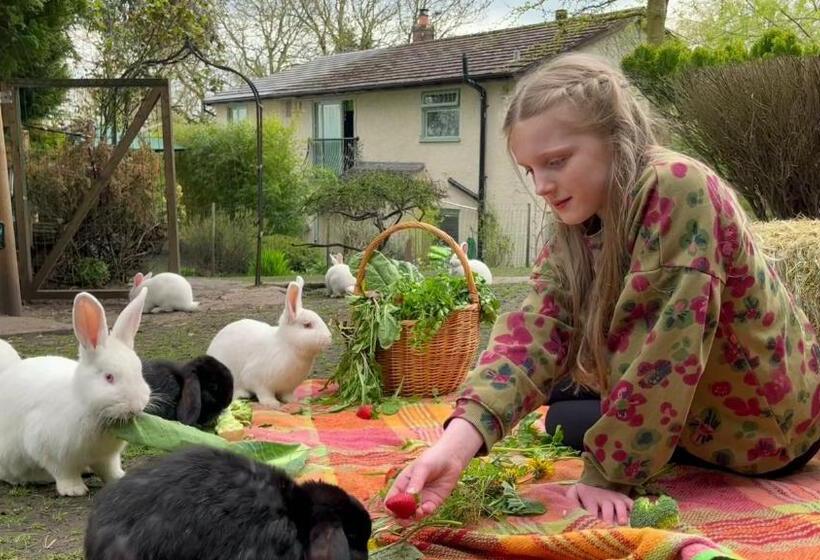 بنسيون The Base Vegan Retreat Animal Sanctuary