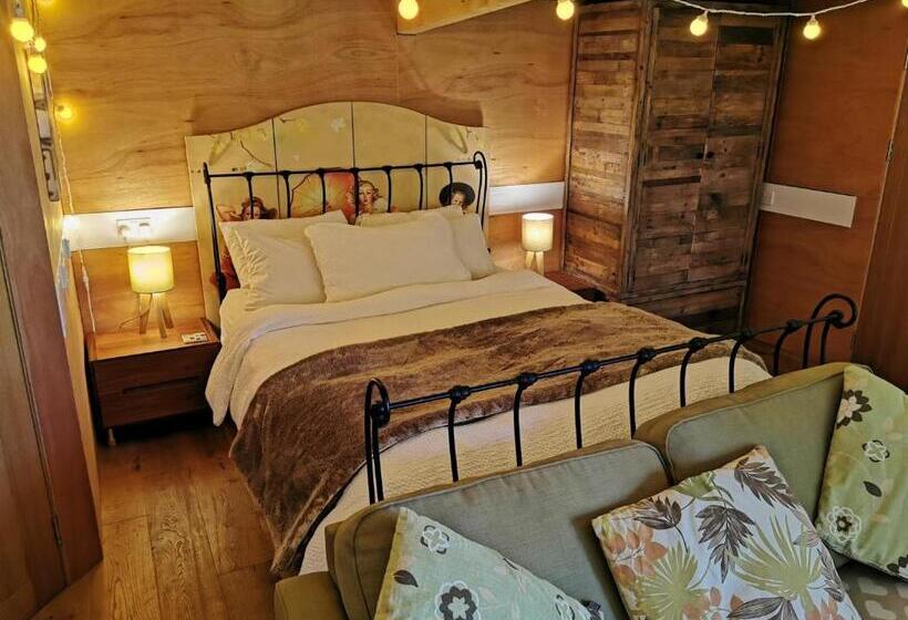 بنسيون The Base Vegan Retreat Animal Sanctuary