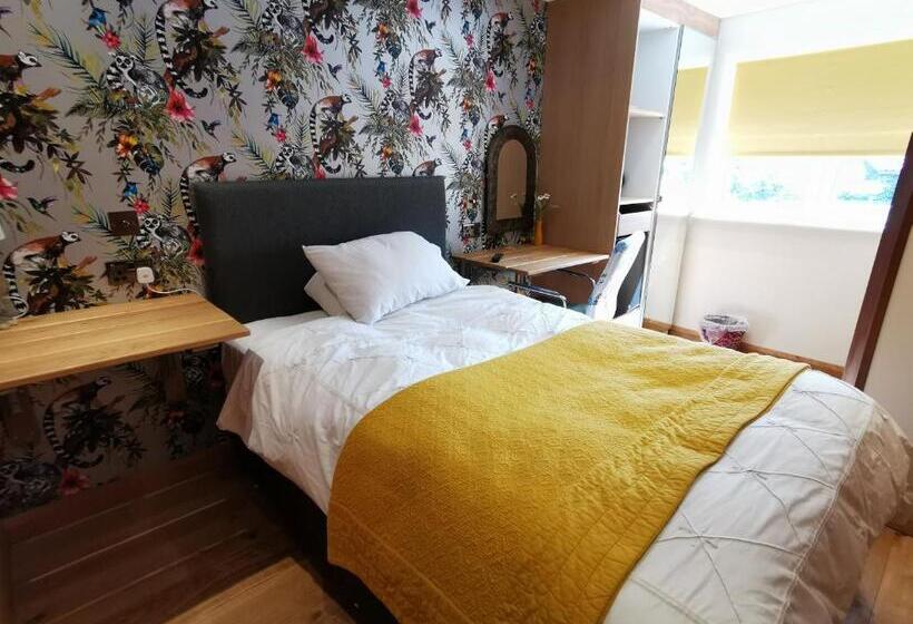 بنسيون The Base Vegan Retreat Animal Sanctuary