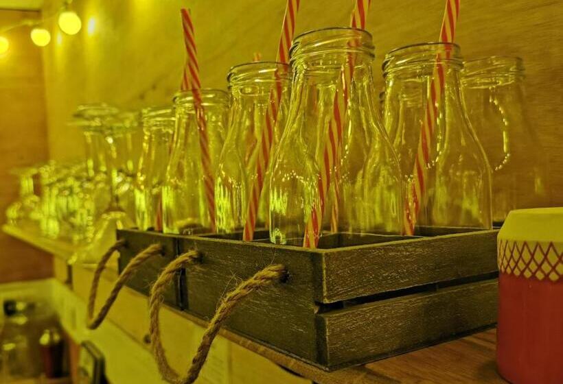 بنسيون The Base Vegan Retreat Animal Sanctuary