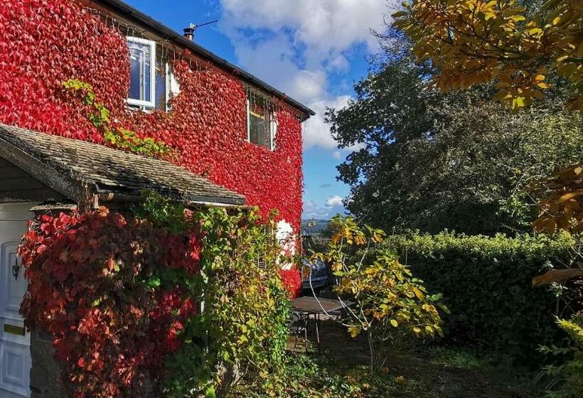 بنسيون The Base Vegan Retreat Animal Sanctuary