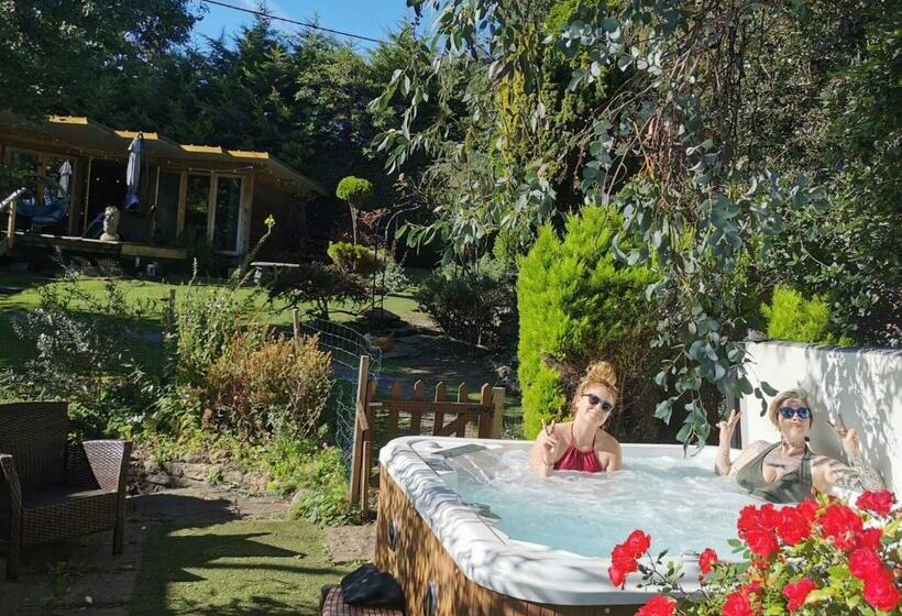 بنسيون The Base Vegan Retreat Animal Sanctuary