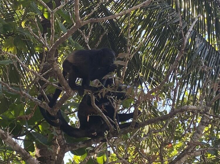 Boutique Hotel Luna Azul