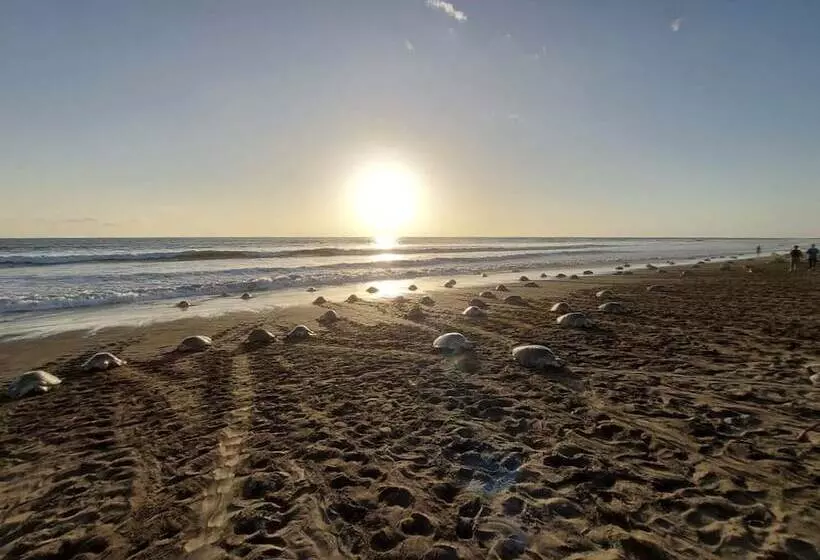 Boutique Hotel Luna Azul