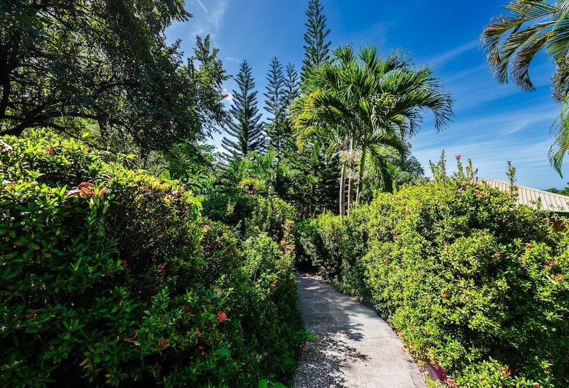 Boutique Hotel Luna Azul