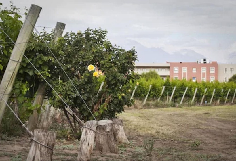 Fuente Mayor Hotel & Casino