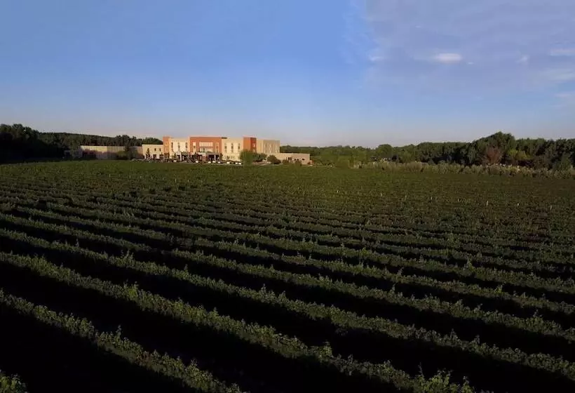 Fuente Mayor Hotel & Casino