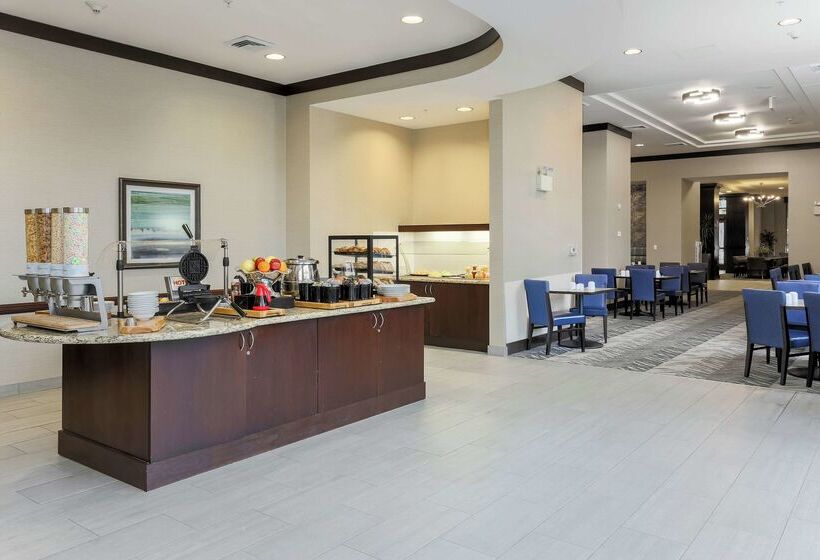 בית מלון כפרי Hilton Garden Inn Arlington Shirlington