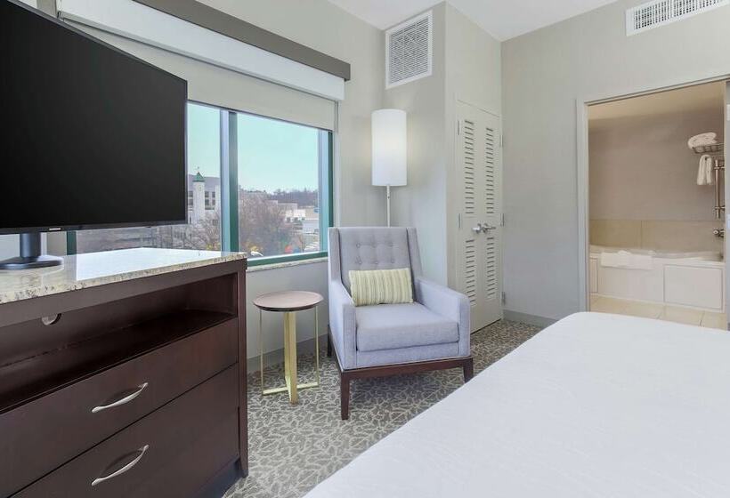 בית מלון כפרי Hilton Garden Inn Arlington Shirlington