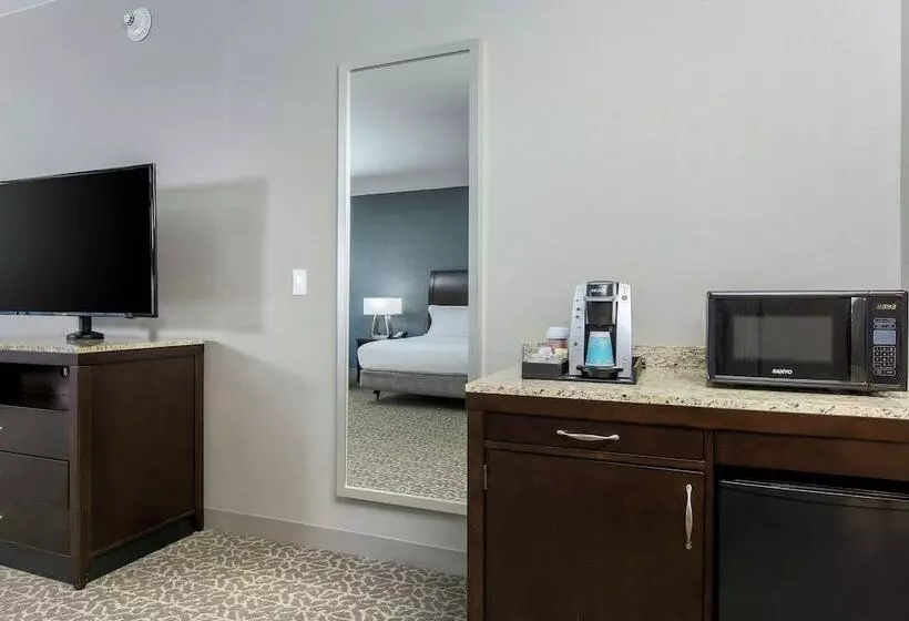 فندق Hilton Garden Inn Arlington Shirlington
