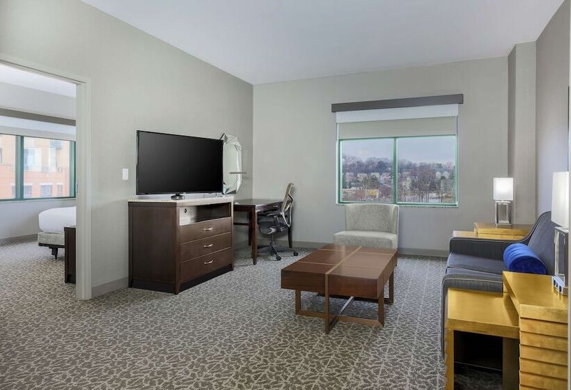 בית מלון כפרי Hilton Garden Inn Arlington Shirlington