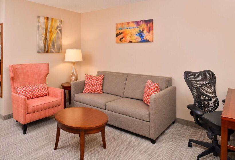 فندق Hilton Garden Inn Dover