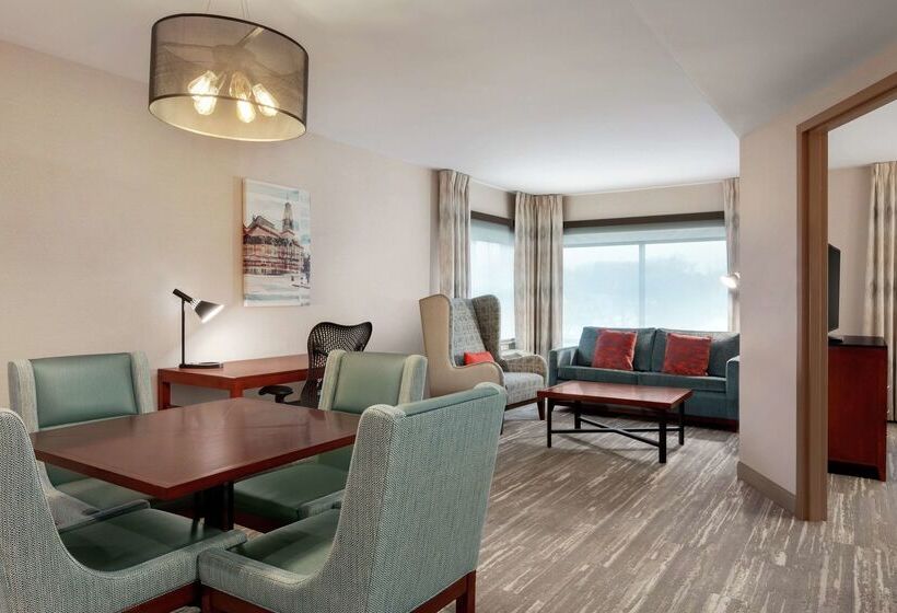 فندق Hilton Garden Inn Troy