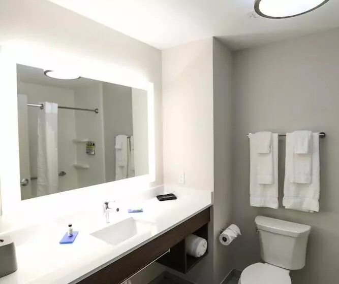 酒店 Holiday Inn Express Hillsboro I 35, An Ihg