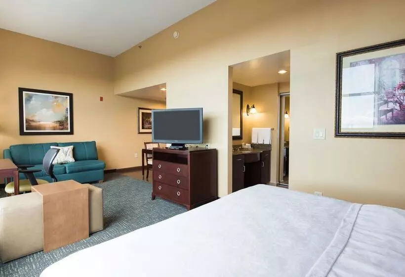 酒店 Homewood Suites By Hilton Davidson