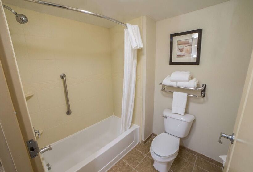 ホテル Homewood Suites By Hilton Davidson