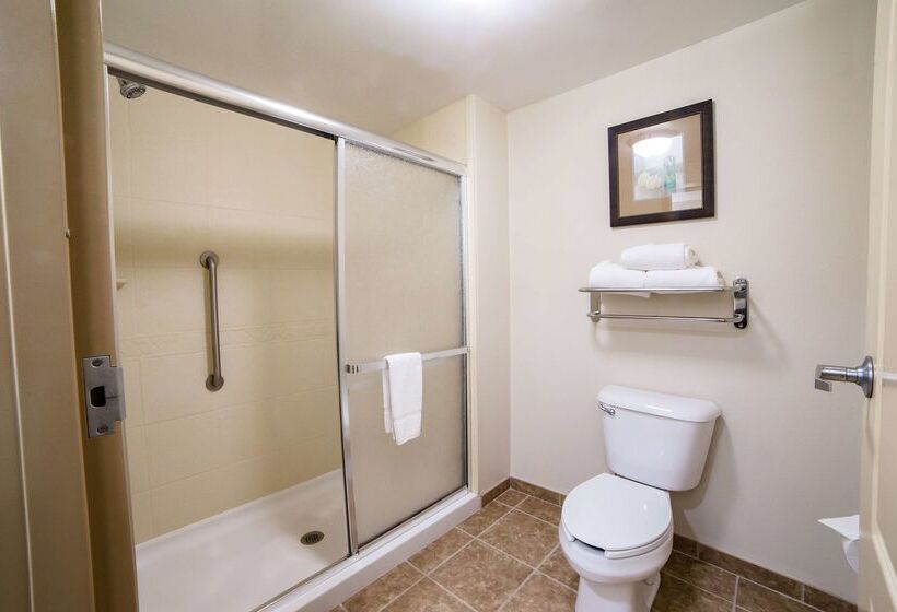 ホテル Homewood Suites By Hilton Davidson