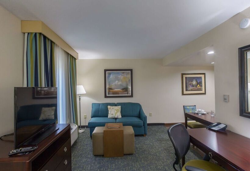 ホテル Homewood Suites By Hilton Davidson