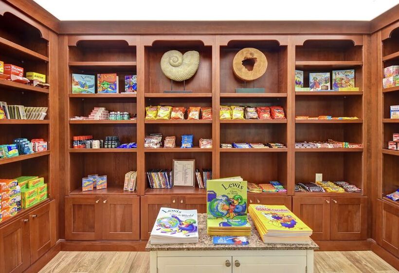 Hotel Homewood Suites By Hilton Tampaport Richey