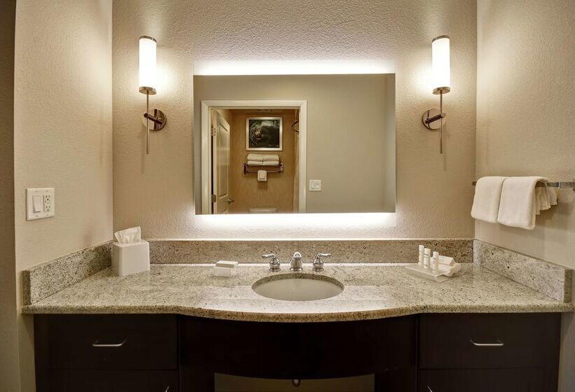 Hotel Homewood Suites By Hilton Tampaport Richey