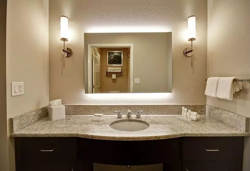 호텔 Homewood Suites By Hilton Tampaport Richey