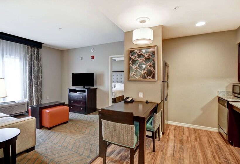 Hotel Homewood Suites By Hilton Tampaport Richey